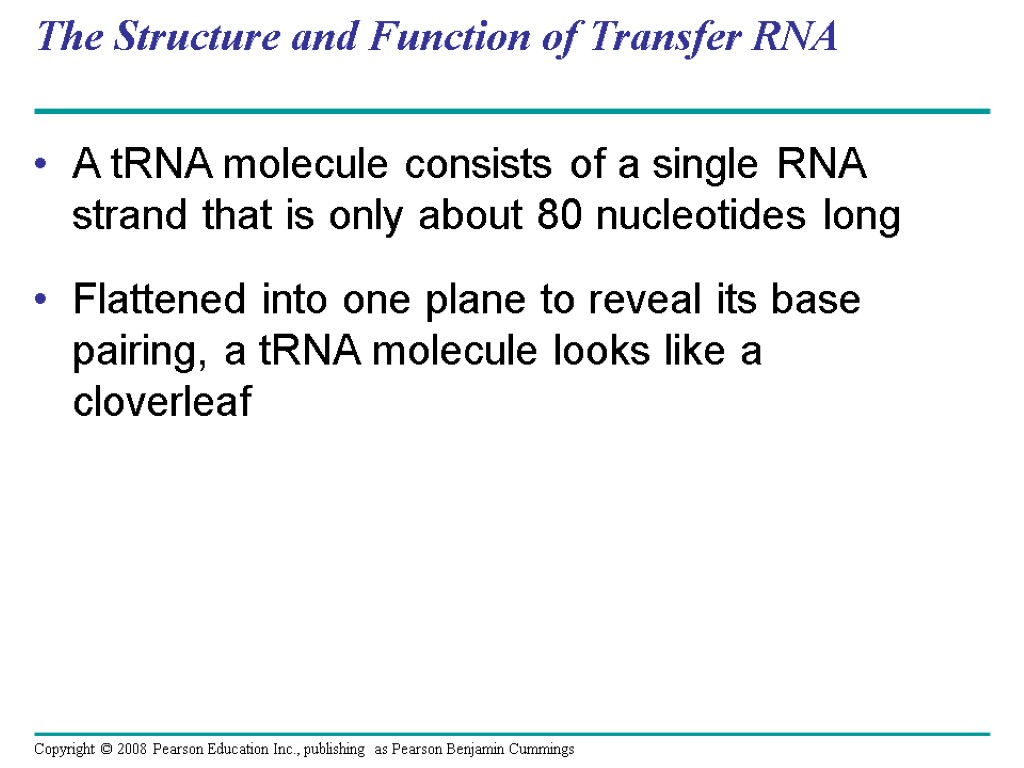 The Structure and Function of Transfer RNA A C C A tRNA molecule consists